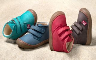 Pololo-Gruppe-img.jpg