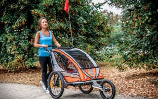 aaqeridoosportrex1fahrradanhaenger12.jpg