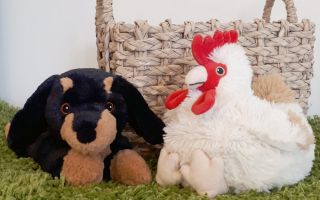 warmies-dacken-und-huhn.jpg