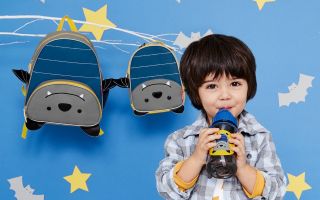 Skip-Hop-Zoo-Collection.jpg