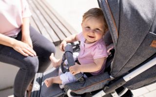GessleinKinderwagen.jpg