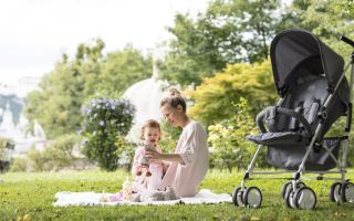 Fillikid-Buggy-Image.jpg