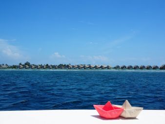 OliCarol-Origami-Boote.jpg