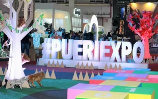 Pueri-Expo2018.jpg