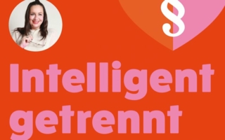 Intelligent-getrennt.jpg