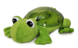 aa Tranquil-Frog-1000x656