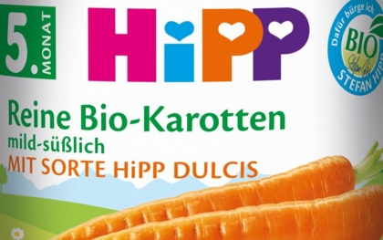 Hipp: Verdächtiger gefasst