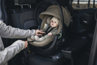 Gewinnspiel Thule Small Thule Maple Copyright Thule
