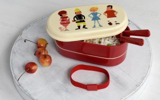 Bento Snack Box