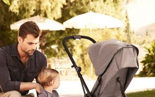 Cybex-Eezy-S-TwistMood.jpg