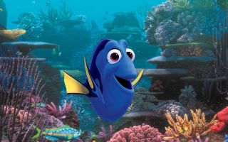 Dory